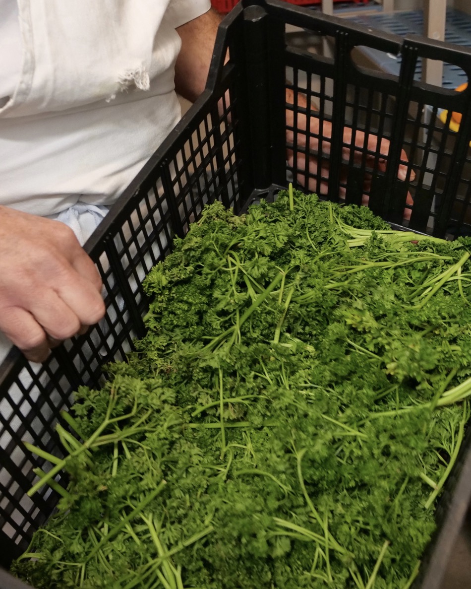 herbs used in French school lunch