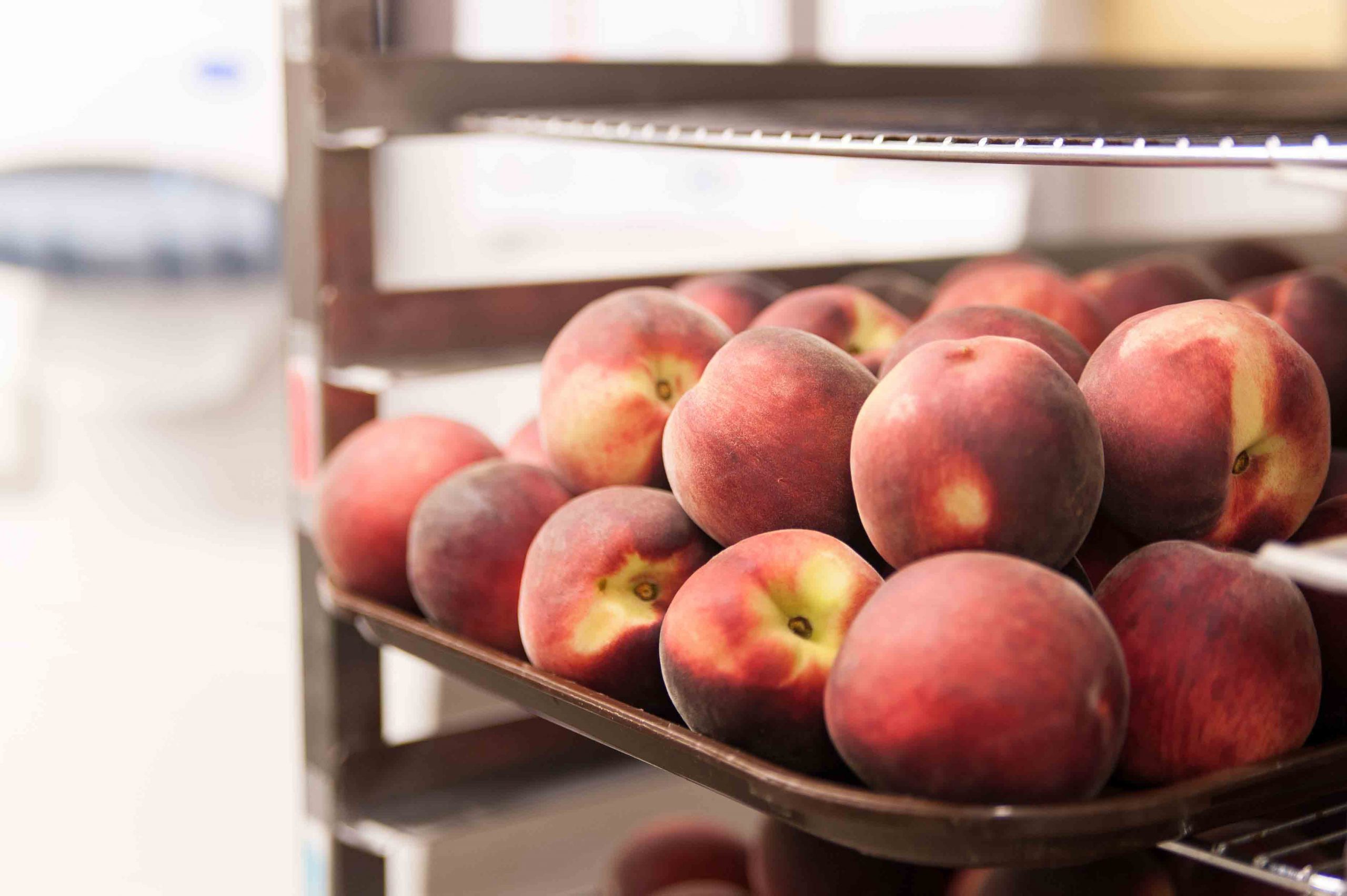 fresh peaches at French school lunch