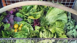 Basket filled with fresh vegetables including leeks, carrots, potatoes, and greens for healthy French home cooking.