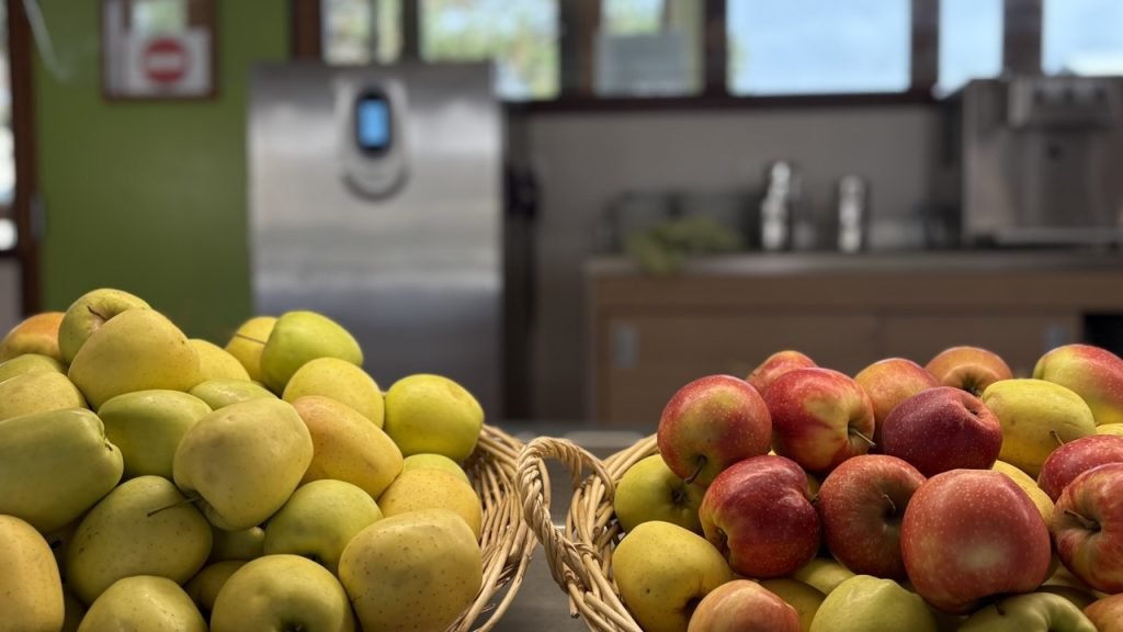 Baskets of fresh apples on display at French school cafeteria.